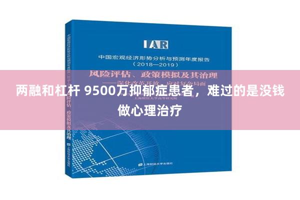 两融和杠杆 9500万抑郁症患者，难过的是没钱做心理治疗