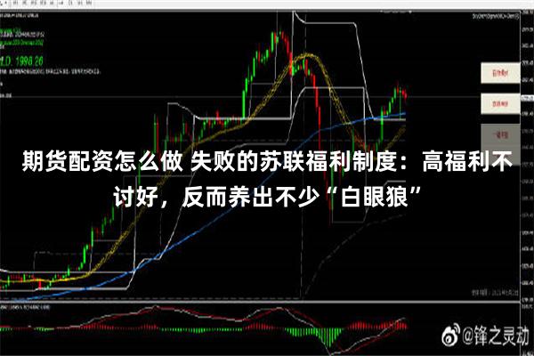 期货配资怎么做 失败的苏联福利制度：高福利不讨好，反而养出不少“白眼狼”