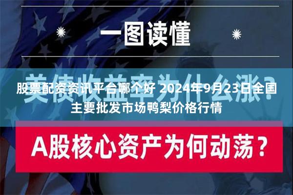 股票配资资讯平台哪个好 2024年9月23日全国主要批发市场鸭梨价格行情