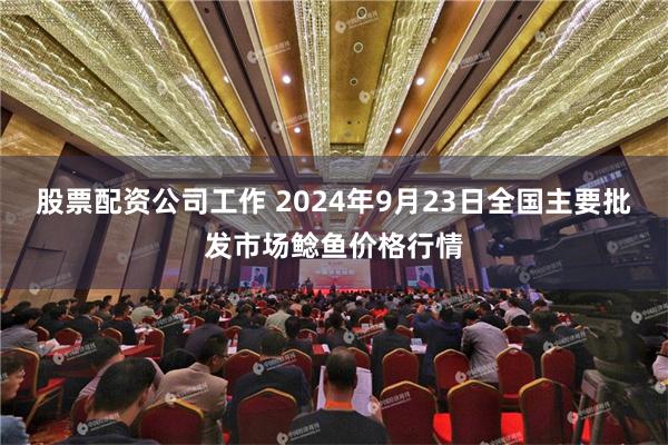 股票配资公司工作 2024年9月23日全国主要批发市场鲶鱼价格行情