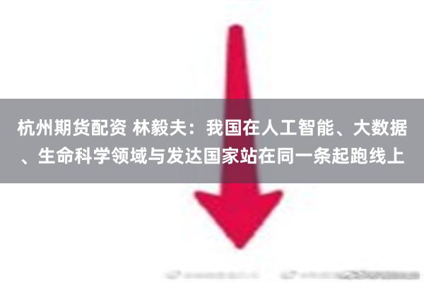 杭州期货配资 林毅夫：我国在人工智能、大数据、生命科学领域与发达国家站在同一条起跑线上