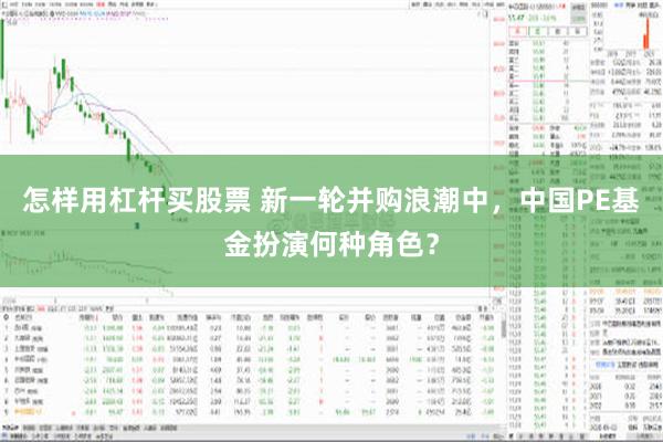 怎样用杠杆买股票 新一轮并购浪潮中，中国PE基金扮演何种角色？