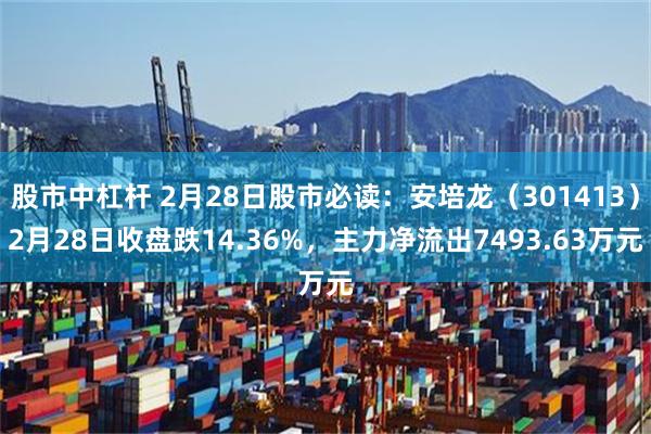 股市中杠杆 2月28日股市必读：安培龙（301413）2月28日收盘跌14.36%，主力净流出7493.63万元